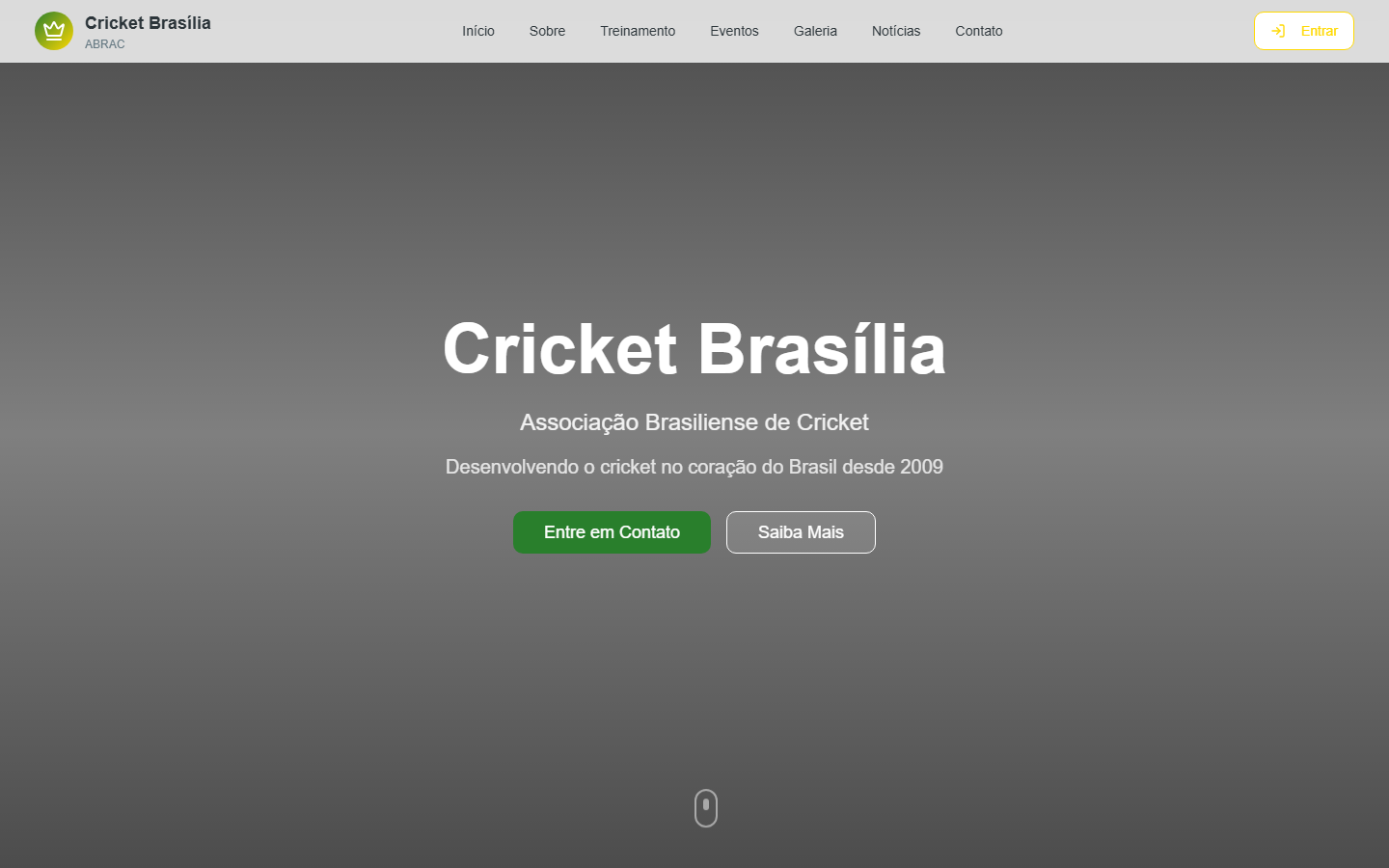 Public Website Preview reference visual for Cricket Brasilia